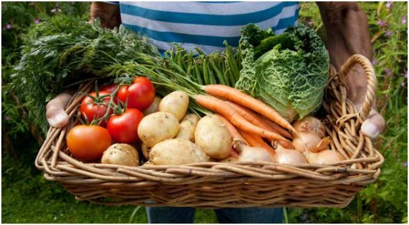 How to Combat the Impact of Food Deserts on Your Health